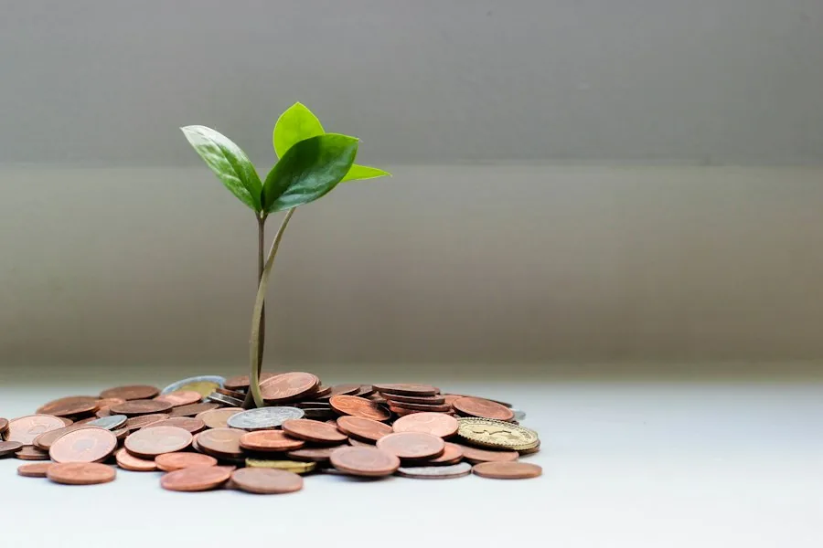 Green seedling growing out of a pile of coins (illustrative stock photo)
